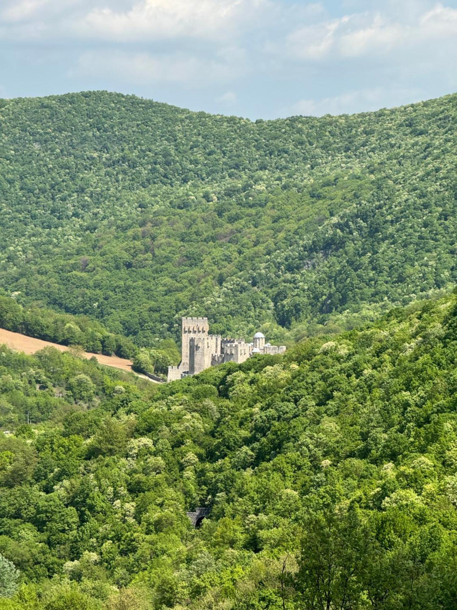 Villa Buena Despotovac Exterior photo