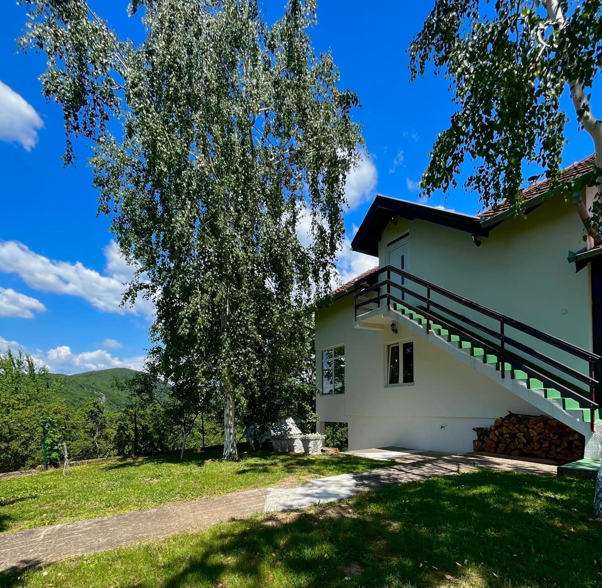 Villa Buena Despotovac Exterior photo